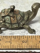 Jewelled tortoise baby for sale  NEW MILTON