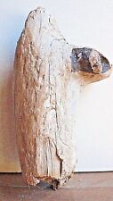 Treibholz schwemmholz knorrige gebraucht kaufen  Halblech