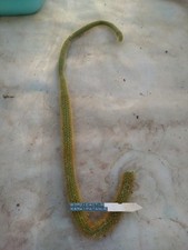 Borzicactus samaipatanus. cutt usato  Civitanova Marche