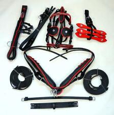 Pony driving harness for sale  Gilberts