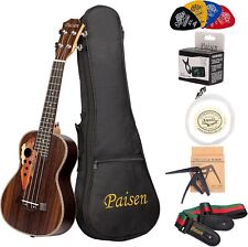 Paisen inch concert for sale  Verona