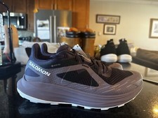 Size 9.5 salomon for sale  Levittown