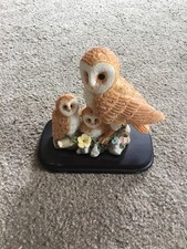 owl chicks for sale owl chicks for sale CHRISTCHURCH