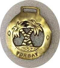 Palm trees torbay for sale  ASHFORD