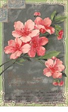Fantaisie 61984 nature d'occasion  France