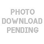 Suzuki gr650 gr650d for sale  Circle Pines