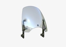 Flyscreen originale dart usato  Spedire a Italy