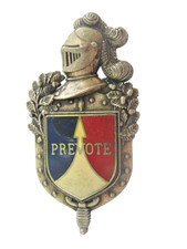 Ancien insigne ecu d'occasion  Saint-Mamert-du-Gard