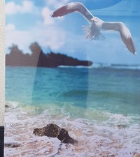 Stoffbanner meer strand gebraucht kaufen  Stolberg (Rhld.)