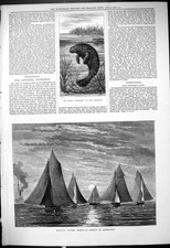 Old 1878 living for sale  UK