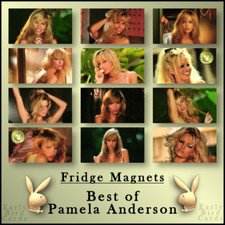 1996 playboy pamela for sale  USA