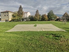 teli olive usato teli olive usato  Prato