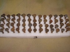 Railroad date nails for sale  Downingtown