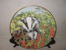 Badger wildlife plate for sale  WELLINGBOROUGH