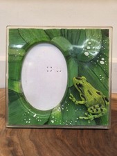 Lucite resin picture for sale  Janesville