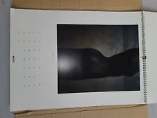 Pirelli calendar 2000 usato  Milano
