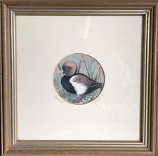 Small framed duck for sale  TAUNTON