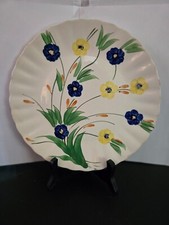Vintage blue ridge for sale  Plant City