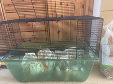 Savic gerbilarium habitat for sale  LONDON
