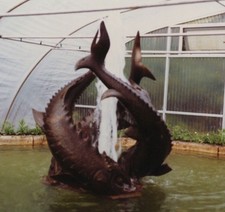 1970s dolphin fountain for sale  Mission