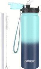 Goppus water bottle for sale  ASHFORD