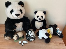 vintage steiff bears for sale vintage steiff bears for sale MANSFIELD