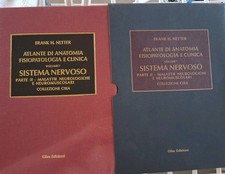 anatomia netter usato  Marino