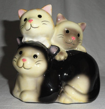 Three adorable kitty for sale  Las Vegas