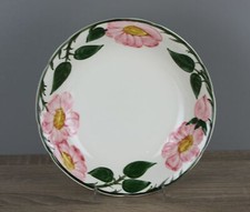 Villeroy boch wildrose gebraucht kaufen  Kappel-Grafenhausen