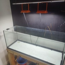 200l aquarium fish for sale  DIDCOT