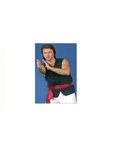 Wing chun phillip for sale  ELLESMERE