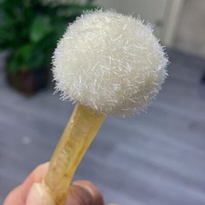 33g tarassaco indiano usato  Spedire a Italy