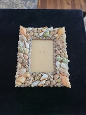 Nautical real seashell for sale  Venice