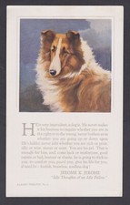 Cartão publicitário muito grande tributos clássicos para cães nº 1 Rough Collie por Spratts comprar usado  Enviando para Brazil