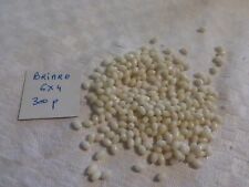 Lot 300 perle d'occasion  Clermont-Ferrand-