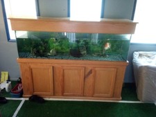 220 gallon fish for sale  Saginaw