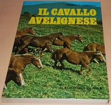 Gabrielli cavallo avelignese usato  Badia Cantignano