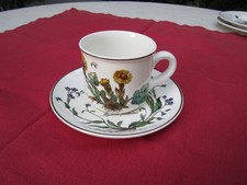 Villeroy boch botanica gebraucht kaufen  Homberg (Efze)