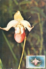 E0046 maxi card usato  Spedire a Italy