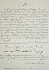 Vicomte hutteau origny d'occasion  Pluvigner