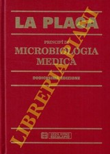 Placa michele principi usato  Italia