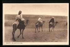 ägypten beduinen reiten gebraucht kaufen  Berlin
