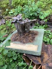 Vintage mushroom model for sale  ST. AUSTELL