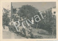 Foto wkii wehrmacht gebraucht kaufen  München