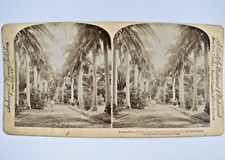 Carte photo stereo d'occasion  Cavaillon