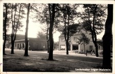 Lockstedt holstein lockstedter gebraucht kaufen  Berlin