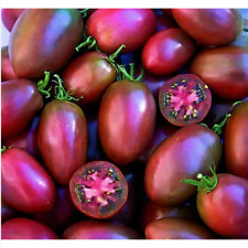 Ukrainian purple tomato for sale  FERRYHILL