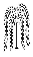 Tall willow tree for sale  Oakland