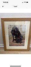 Limited edition nigel for sale  BRIERLEY HILL