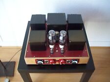 Amplificateur 300 diy d'occasion  Tullins
